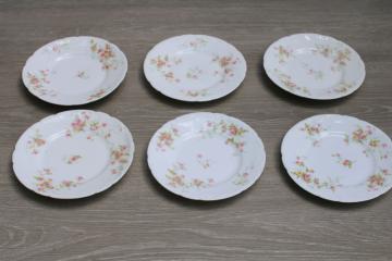 catalog photo of vintage Limoges France china tiny bread & butter plates pink floral Theodore Haviland 