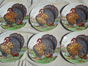 catalog photo of vintage Midwinter / Wedgwood china Thankgiving turkey dinner plates set