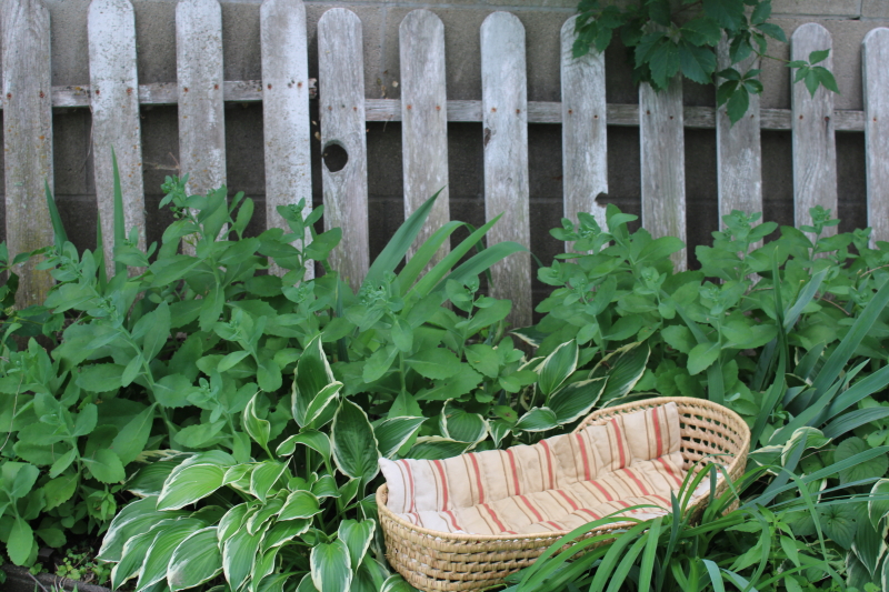 photo of vintage Moses basket baby bed w/ old striped cotton ticking mattress, primitive decor  #1
