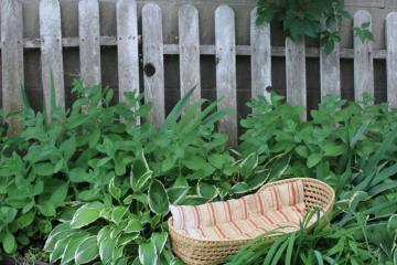 catalog photo of vintage Moses basket baby bed w/ old striped cotton ticking mattress, primitive decor 