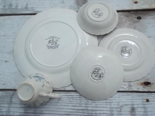 photo of vintage Myott forget-me-not Staffordshire china set, bowls, plates, cups #5