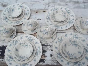 catalog photo of vintage Myott forget-me-not Staffordshire china set, bowls, plates, cups