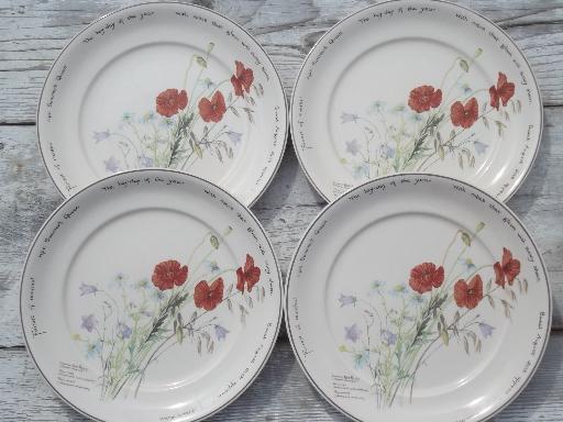 photo of vintage Noritake Country Diary of an Edwardian Lady dinner plates set #1