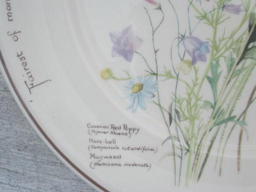 photo of vintage Noritake Country Diary of an Edwardian Lady dinner plates set #6