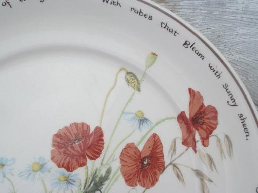 photo of vintage Noritake Country Diary of an Edwardian Lady dinner plates set #7