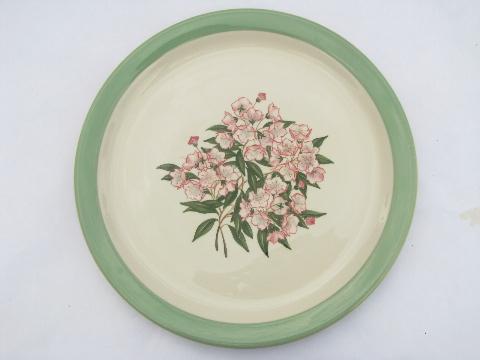 photo of vintage Pennsylvania Railroad plate, Mountain Laurel Shenango china #1