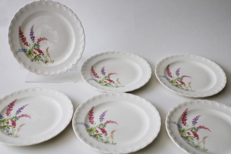 photo of vintage Pope Gosser china plates, lupines or Texas bluebonnets floral, granny chic #1