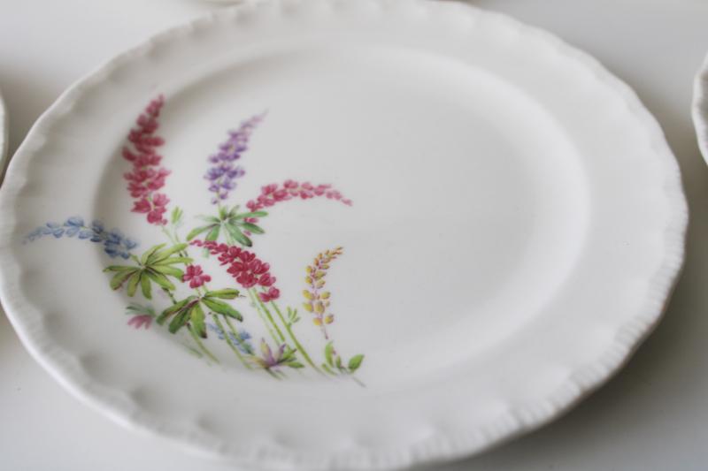 photo of vintage Pope Gosser china plates, lupines or Texas bluebonnets floral, granny chic #2