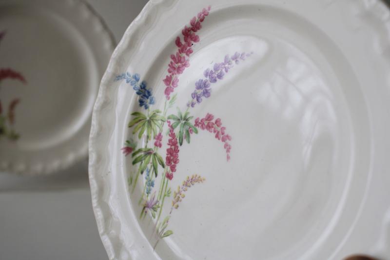 photo of vintage Pope Gosser china plates, lupines or Texas bluebonnets floral, granny chic #4