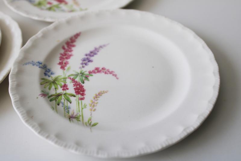 photo of vintage Pope Gosser china plates, lupines or Texas bluebonnets floral, granny chic #5