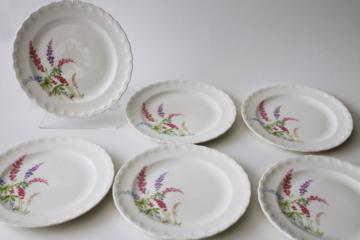 catalog photo of vintage Pope Gosser china plates, lupines or Texas bluebonnets floral, granny chic