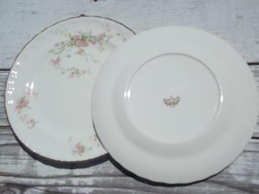 photo of vintage Pope-Gosser china salad plates, pink floral princess pattern? #2