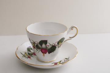 catalog photo of vintage Regency England bone china tea cup & saucer set, fuchsia plant flowers
