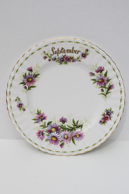 photo of vintage Royal Albert England bone china plate September flower Michaelmas daisy #1