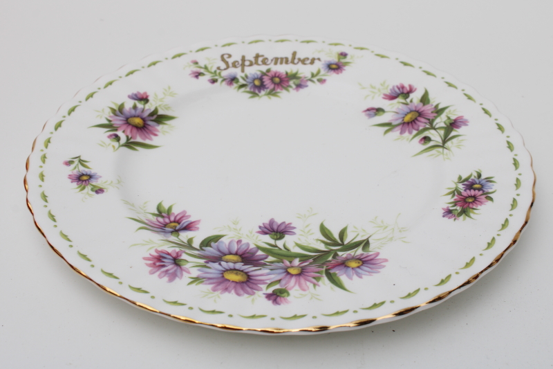 photo of vintage Royal Albert England bone china plate September flower Michaelmas daisy #2