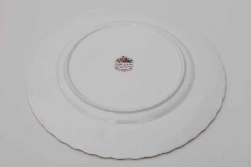 photo of vintage Royal Albert England bone china plate September flower Michaelmas daisy #3