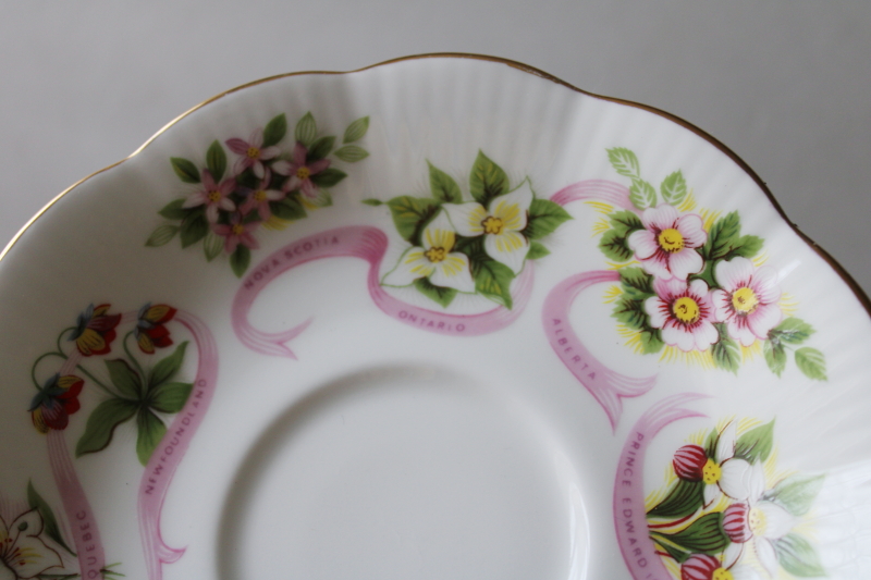 photo of vintage Royal Albert bone china cup & saucer set, Canada wildflowers of the Canadian Provinces  #5