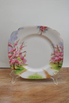 vintage Royal Albert bone china plate Blossom Time pink cherry trees in bloom