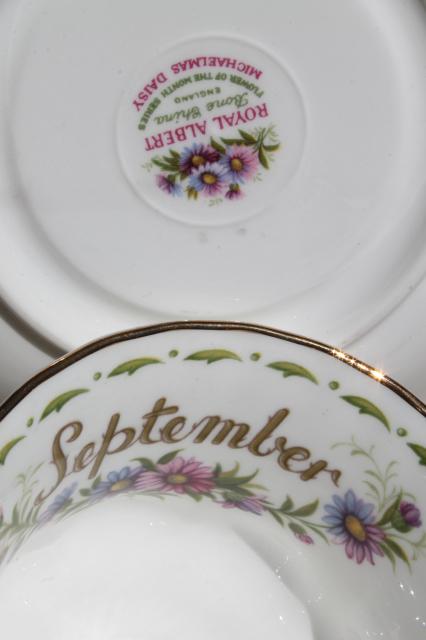 photo of vintage Royal Albert china cup & saucer for September birthday, birth month flowers #6