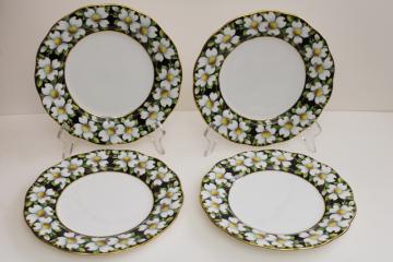 catalog photo of vintage Royal Albert china plates, Provincial flowers dogwoods on black border