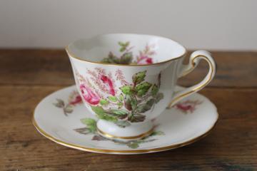 catalog photo of vintage Royal Chelsea bone china tea cup & saucer pink moss rose pattern 