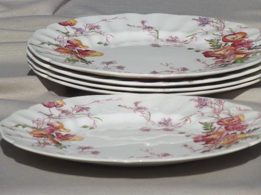 photo of vintage Royal Doulton Sherborne pattern dinner plates, 5 plate lot #2