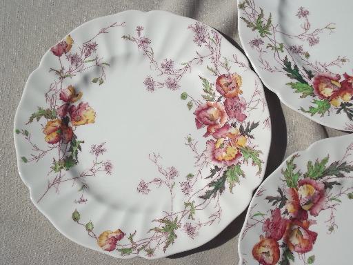 photo of vintage Royal Doulton Sherborne pattern dinner plates, 5 plate lot #3