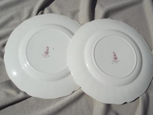 photo of vintage Royal Doulton Sherborne pattern dinner plates, 5 plate lot #4