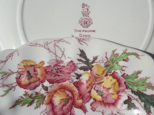 photo of vintage Royal Doulton Sherborne pattern dinner plates, 5 plate lot #5