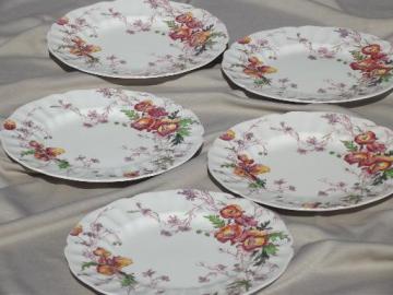 catalog photo of vintage Royal Doulton Sherborne pattern dinner plates, 5 plate lot