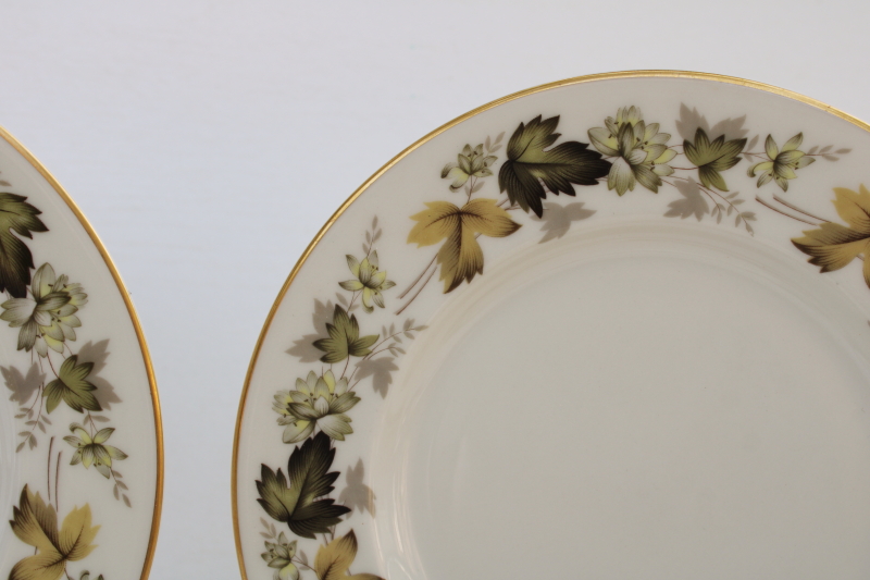 photo of vintage Royal Doulton china salad plates set of 4, Larchmont leaf border pattern  #2