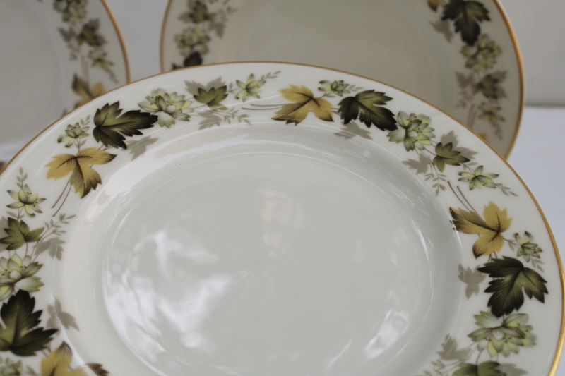 photo of vintage Royal Doulton china salad plates set of 4, Larchmont leaf border pattern  #3