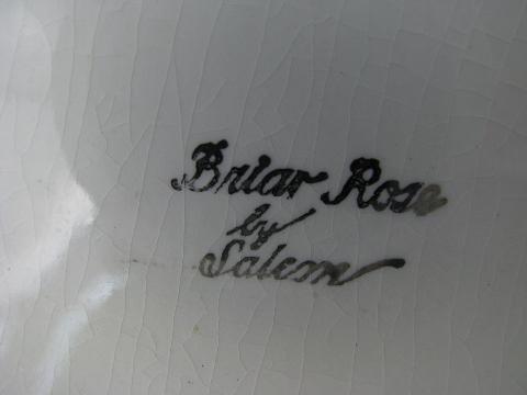 photo of vintage Salem Briar Rose china, embossed floral, ivory w/ platinum #7