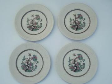 catalog photo of vintage Shenango Stafforshire India Tree china  plates, Indian Tree pattern