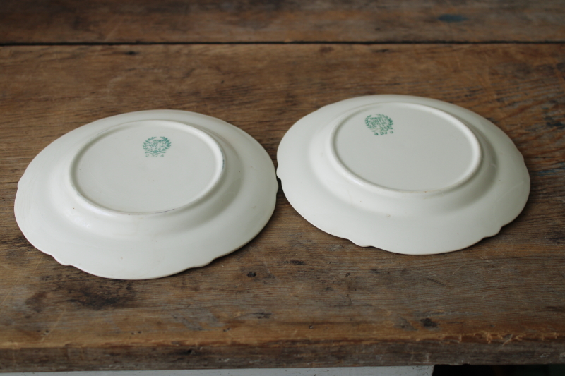 photo of vintage Taylor Smith Taylor china plates, rare cottage cabin in the pines pattern  #4