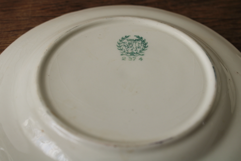 photo of vintage Taylor Smith Taylor china plates, rare cottage cabin in the pines pattern  #5