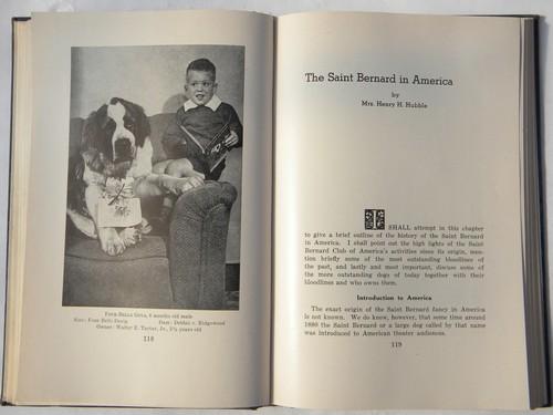 photo of vintage The Complete Saint Bernard w/many dog photos&illustrations #6