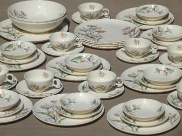 catalog photo of vintage Universal pottery dishes, autumn asters floral Ballerina china for 8