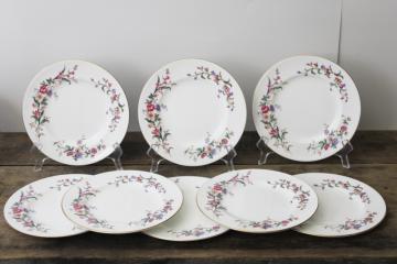 catalog photo of vintage Wedgwood England Devon Sprays floral china salad plates set of 8