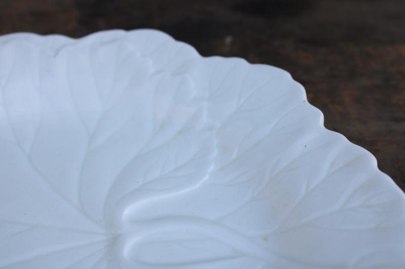 photo of vintage Wedgwood china begonia or cabbage leaf plate, all white creamware majolica #6