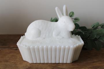 catalog photo of vintage Westmoreland milk glass rabbit on nest, bunny basket covered dish Easter spring decor 