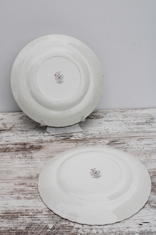 photo of vintage Yorkshire pattern English Staffordshire ironstone china dinner plates  #5