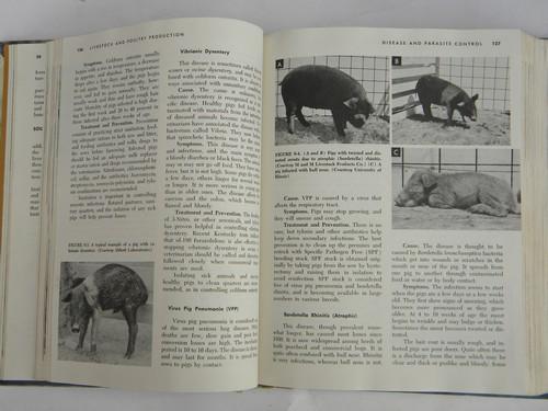 photo of vintage agricultural book livestock & poultry production, farm library #3