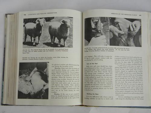 photo of vintage agricultural book livestock & poultry production, farm library #4