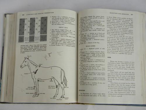 photo of vintage agricultural book livestock & poultry production, farm library #5