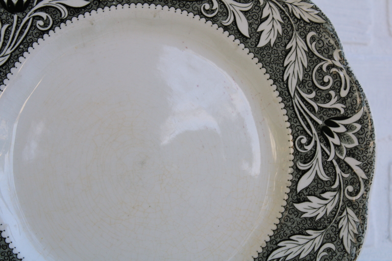 photo of vintage black transferware china dinner plates, English ironstone J-G Meakin Renaissance pattern #5