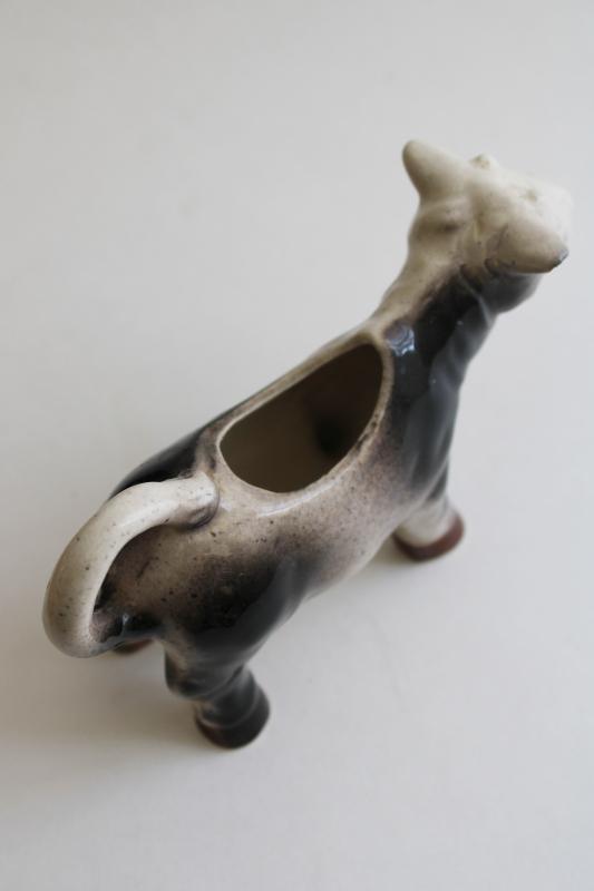 photo of vintage black & white brindle milking shorthorn cow pitcher, painted ceramic cow creamer #3