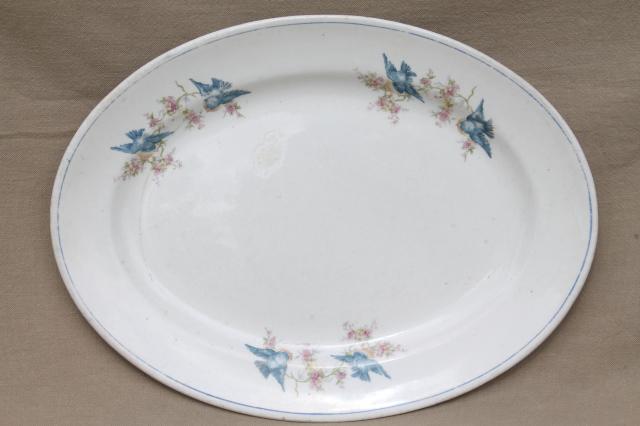 photo of vintage bluebird china platter or tray, old antique National china blue bird pattern #1