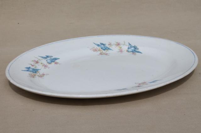 photo of vintage bluebird china platter or tray, old antique National china blue bird pattern #2