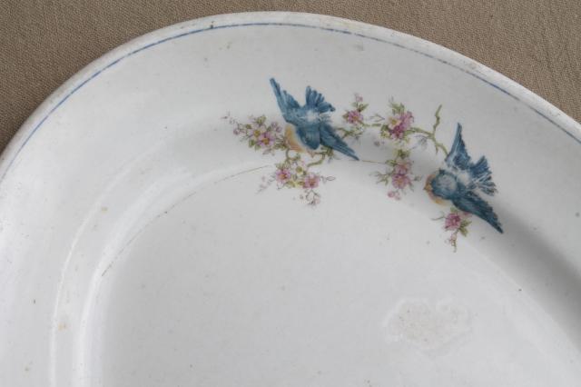 photo of vintage bluebird china platter or tray, old antique National china blue bird pattern #3